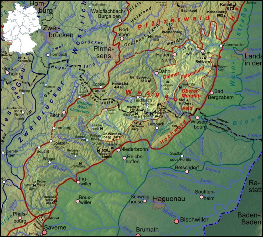 Fewo Pfaelzer Felsenlandschaft Pirmasens Kültér fotó